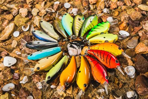 Berkley® Delivers High-Performing New Hardbaits for 2019 with the Tournament-Proven Frittside ...