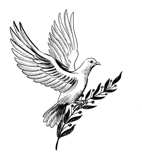 Premium Photo | Dove of peace with olive branch. Ink black and white drawing