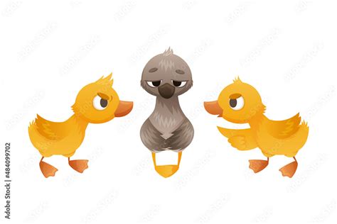 Goslings teasing duckling. Ugly duckling fairy tale cartoon vector illustration Stock Vector ...