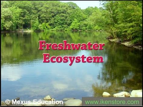 Freshwater Ecosystem | Iken Edu - YouTube