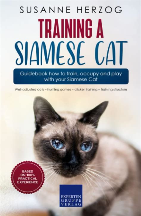 Training a Siamese Cat – Guidebook how to train, occupy and play with ...