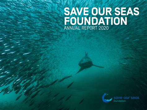 2020 annual report - Save Our Seas Foundation