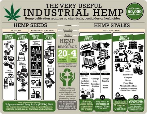 Hemp & CBD Uses, Benefits & Impact Guide | Hemp FAQs