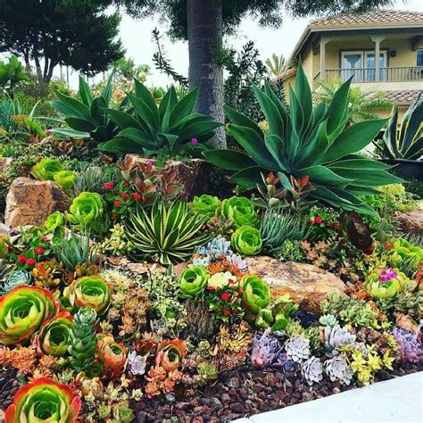 35 Amazing Beautiful Garden Landscaping Ideas with Succulents 14 ...