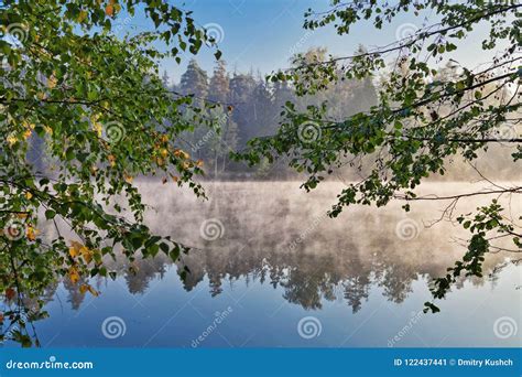 Foggy lake landscape stock image. Image of fall, calm - 122437441