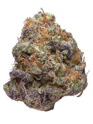 Purple OG Strain - Hybrid Cannabis Video Review : Hytiva