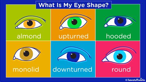 Types Of Eye Shapes