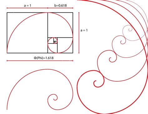 golden ratio spiral design tool - newarta | Golden ratio spiral, Spiral ...