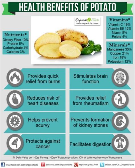 Health Benefits of Potatoes | Nikki Kuban Minton