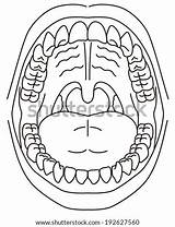Throat Coloring Pages sketch template