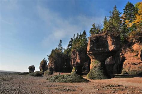 Hopewell Culture National Historical Park Stock Photos, Pictures & Royalty-Free Images - iStock