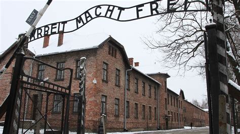 Travel blogger's photo of rubber duck in front of gates of Auschwitz draws outrage | Fox News