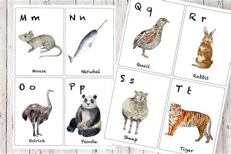 Watercolor ABC Animals Flashcards By TatiBordiu Watercolor | TheHungryJPEG