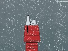 Snoopy Snow Meme - Snoopy Snow - Discover & Share GIFs