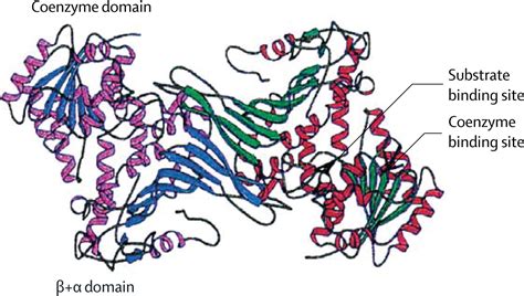 Glucose 6 Phosphate Structure