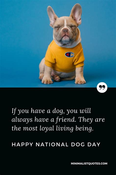 International Dog Day Quotes, Wishes & Messages