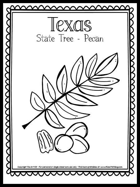 {Free Printable!} Texas State Tree Coloring Page [Pecan Tree] | Texas, Kinder, Amerika