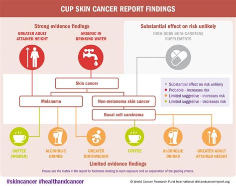 How does the sun cause skin cancer? - WCRF International