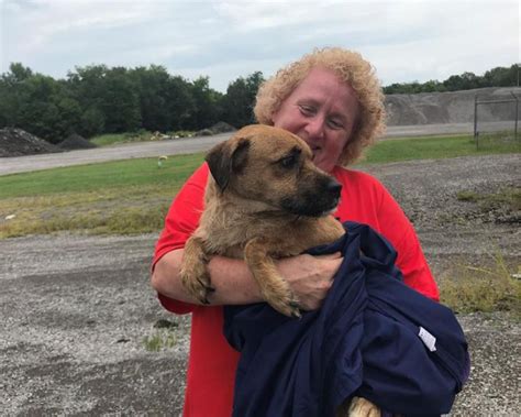 Franklin County Animal Control rescues 91 dogs from rural home - Benton ...