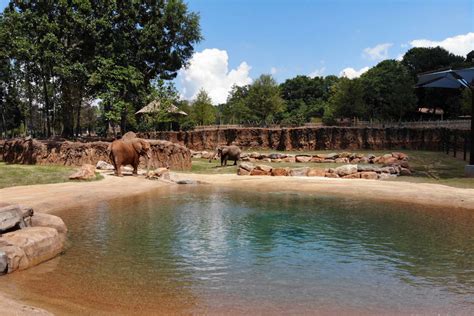 Zoo Atlanta opens all-new African Savanna - Zoo Atlanta