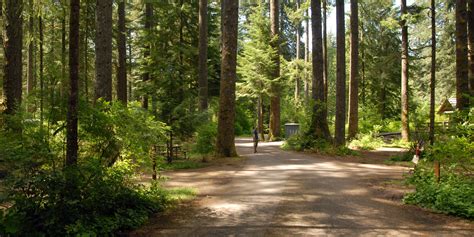 Silver Falls State Park Campground | Outdoor Project