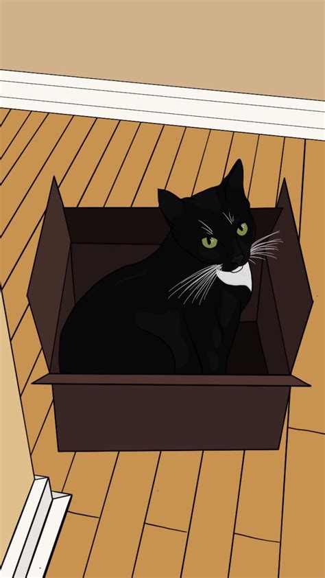 Here is a drawing of my brothers cat enjoying a nice box, me digital : r/drawing