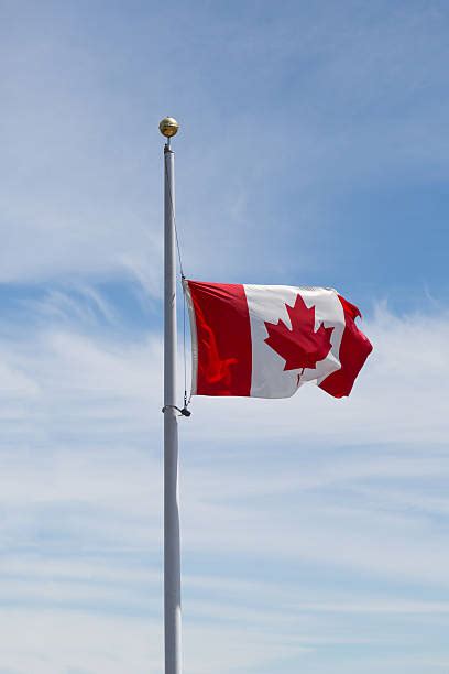 Canadian Flag At Half Mast Stock Photos, Pictures & Royalty-Free Images ...