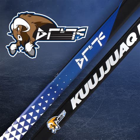 Custom Hockey Sticks | Custom Hockey Stick Graphics