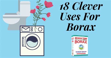 18 Awesome And Effective Uses For Borax - Homemaking.com | Homemaking 101 | Daily Disciplines ...