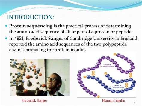 Protein Sequencing Strategies