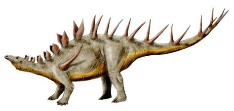 Kentrosaurus | Dinosaurier Wiki | Fandom powered by Wikia