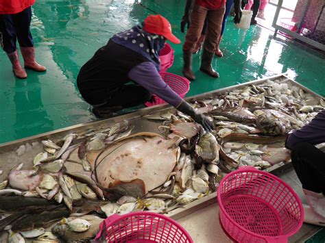 Visiting fish landing sites in Taiwan | Evolutionary ecology | UiB