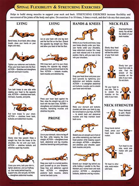 23 best Lower Back Pain Exercises And Stretches Pictures images on ...