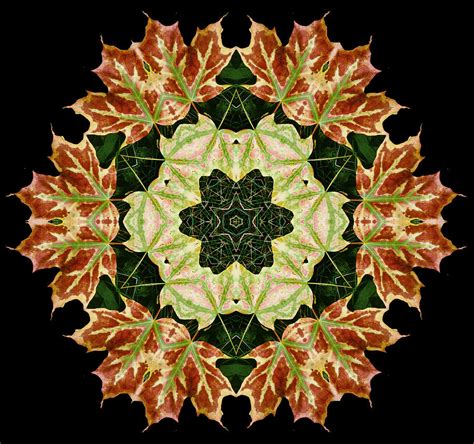 Mandala Autumn Star Photograph by Nancy Griswold - Fine Art America