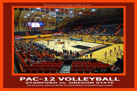 PAC12 Volleyball II Photograph by Michael Moore - Fine Art America