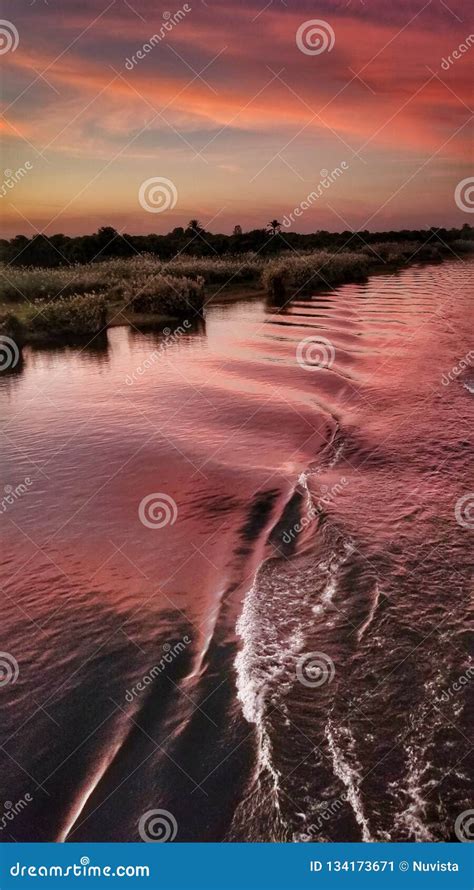 Nile river at sunset stock image. Image of pink, boat - 134173671