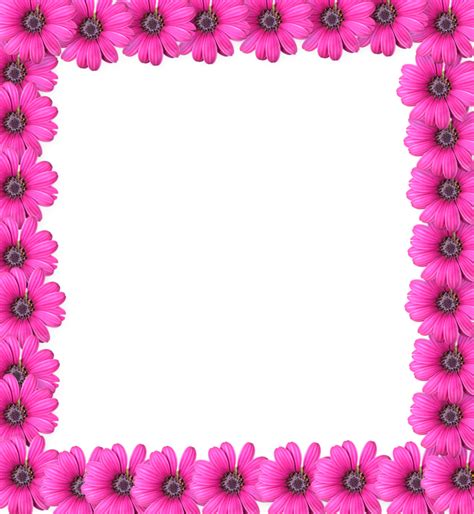 Download Pink Picture Frame Flower Free HD Image HQ PNG Image | FreePNGImg