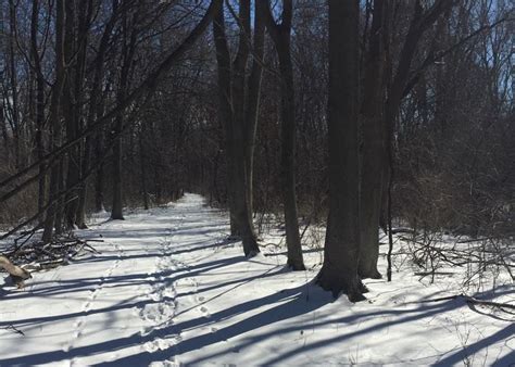 Nov 16 | Enjoy Winter in the Lake County Forest Preserves | Buffalo ...