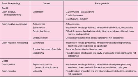 Where are aerobic bacteria found in the body