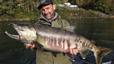 Salmon fishing on the Fraser River British Columbia- 4K by Yuri Grisendi - YouTube