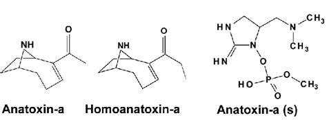 Structures of the neurotoxins anatoxin-a, homoanatoxin-a, and... | Download Scientific Diagram