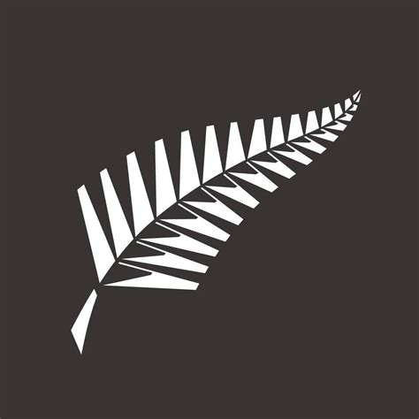 Blackcaps - Congratulations to former WHITE FERN, Lesley... | Facebook