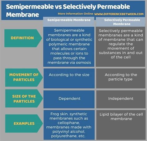 Semipermeable vs Selectively Permeable Membrane - Tabular Form in 2022 | Cell membrane, Membrane ...