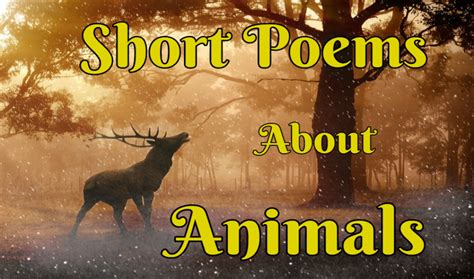 Very Short Poems Online About Love, Life, Nature, Race and More - HubPages