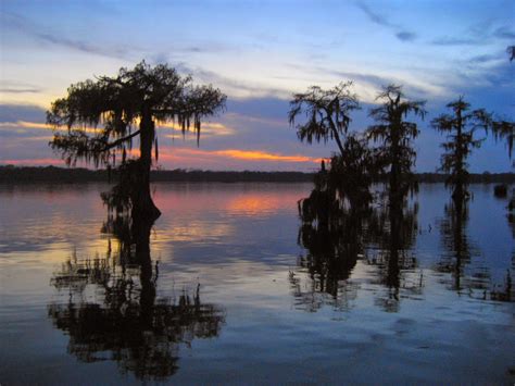 Living Rootless: Lake Martin: Sunsets and Gators