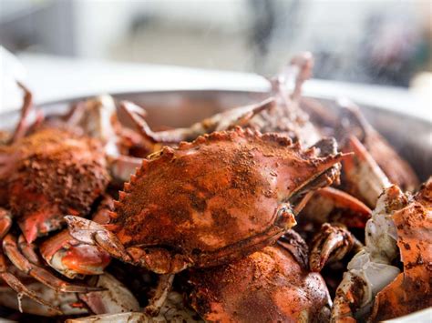 How to Make and Eat Maryland Crabs | Crab recipes, Crab boil recipe, Crab feast