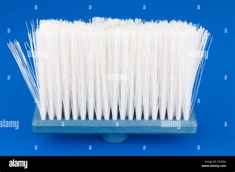 White nylon bristles Stock Photo - Alamy