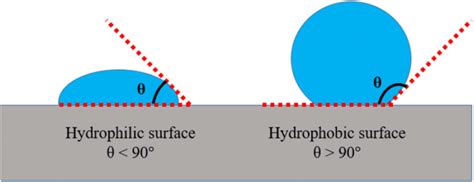 The contact angle of a liquid with a hydrophobic and a hydrophilic surface | Download Scientific ...