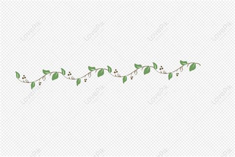 Vine Line Art PNG Images With Transparent Background | Free Download On ...