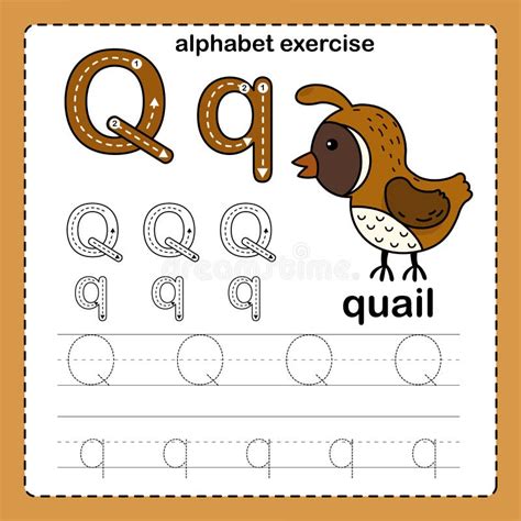 Alphabet Letter Q - Quail with Cartoon Vocabulary Stock Vector ...